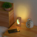 Solid wood LED reading lamp - interior decor