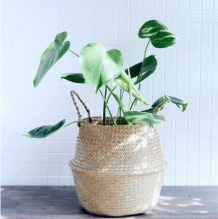 Wicker Foldable Planter Basket - furniture design