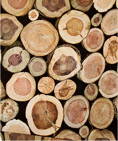 Wood Stump Thickened PVC Wallpaper - home accessories